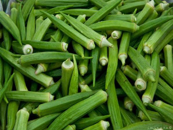 Lady fingers ( Bhindi) vegetable fresh